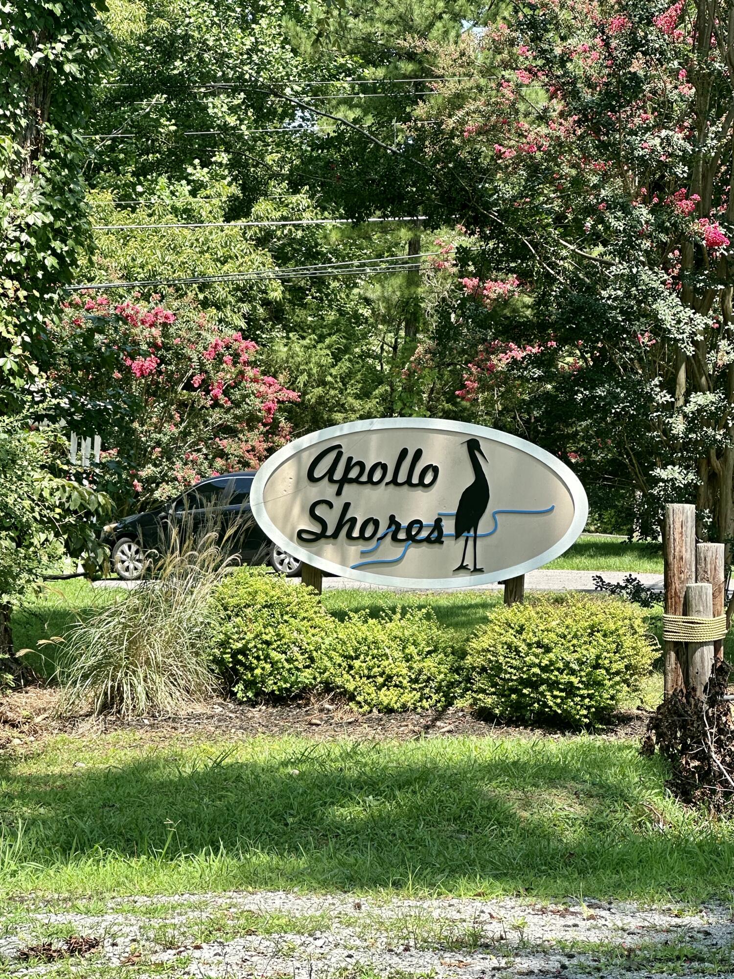 0 Apollo Drive Spring City, TN 37381 - Photo 56 of 56 IMG_4585