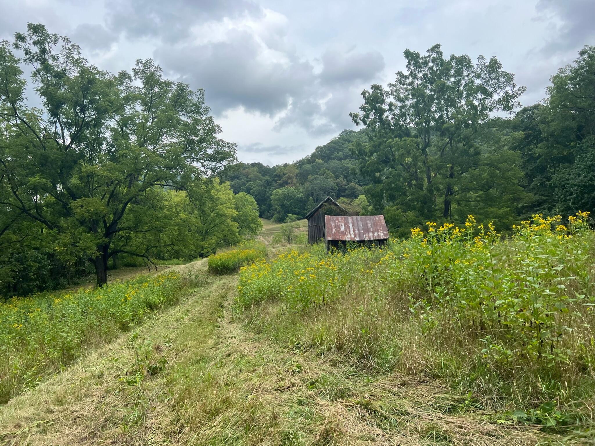 Wayside Creamery Road Pence Springs, WV 24962 - Photo 12 of 28 Gallery Image 12