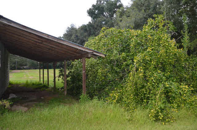 16533 Danne Road Fairhope, AL 36532 - Photo 38 of 41 Lean- to