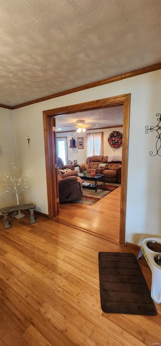 223 Bem Street Chester, IL 62233 - Photo 24 of 42