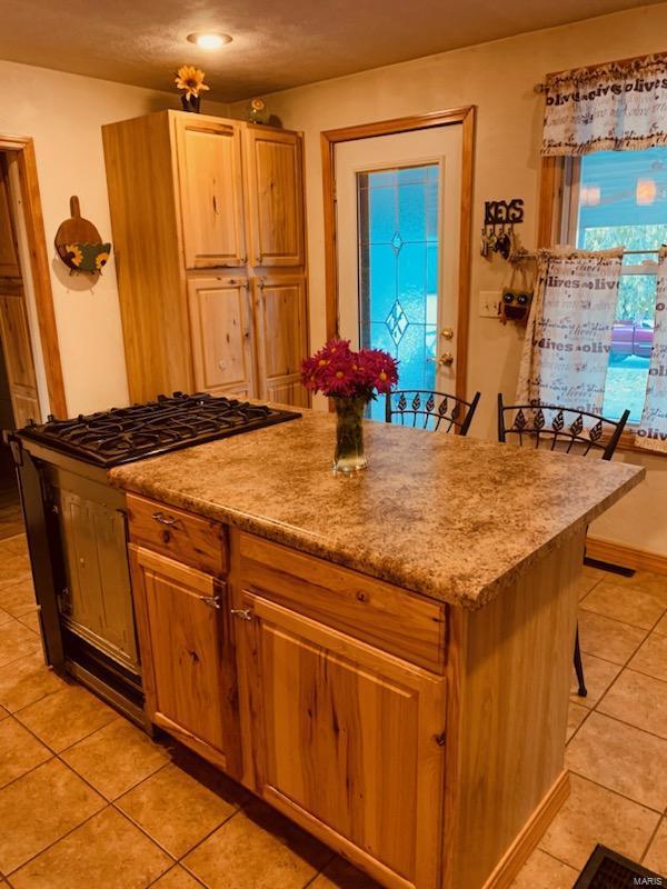 223 Bem Street Chester, IL 62233 - Photo 5 of 42