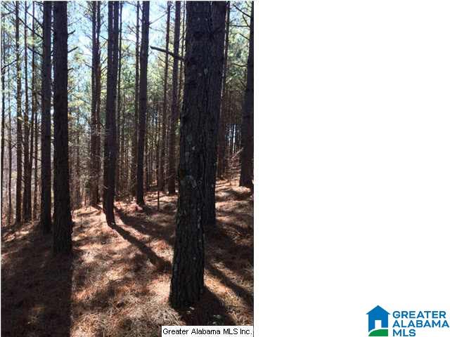 3703 Co Highway 24 Springville, AL 35146 - Photo 27 of 28