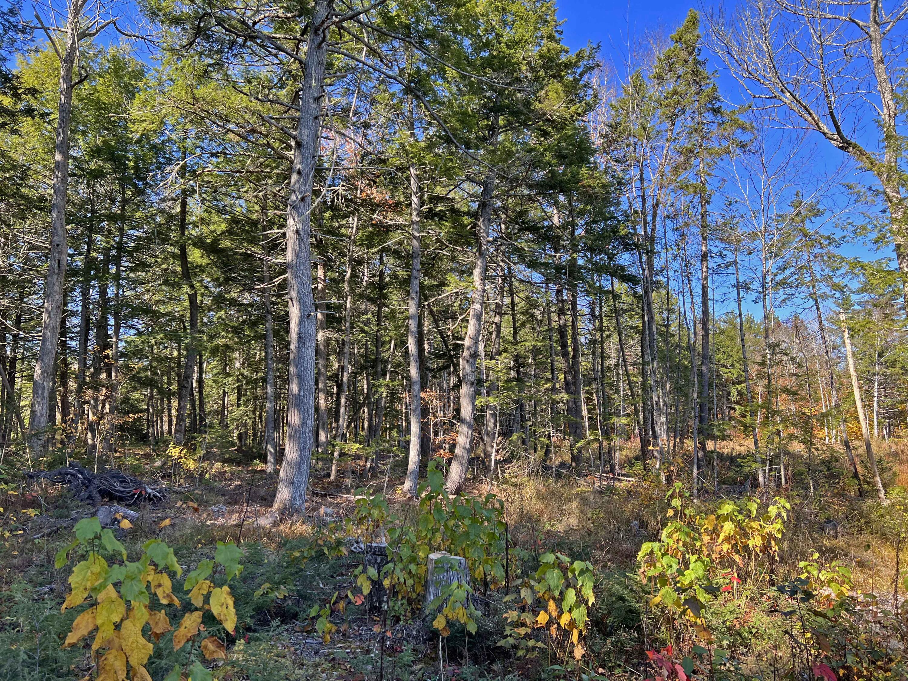 77 Salisbury Cove Road Ellsworth, ME 04605 - Photo 68 of 72 6a
