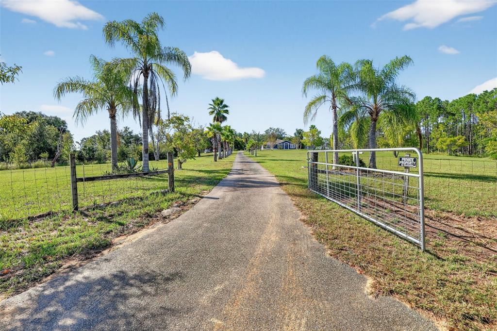 14520 Lost Lake Road Clermont, FL 34711 - Photo 2 of 47 a view of a park with palm trees