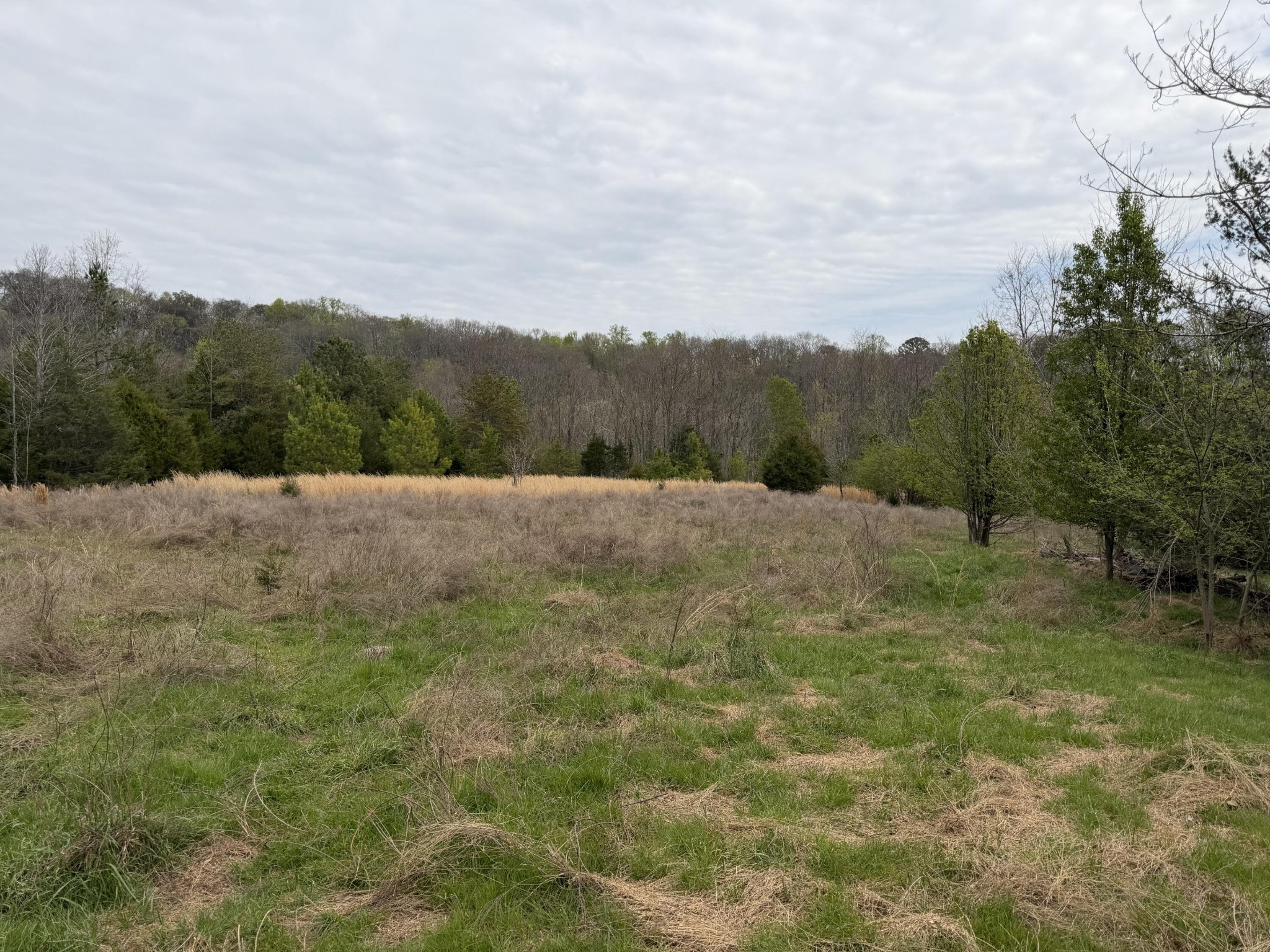 0 Fairview Road Hixson, TN 37343 - Photo 14 of 15 Gallery Image 14