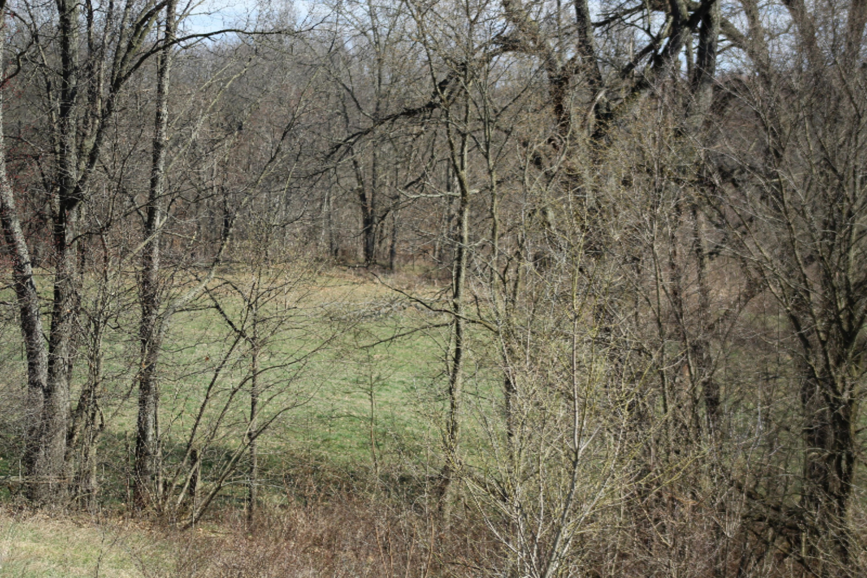 9984 Jones Road Bellevue, MI 49021 - Photo 44 of 47 IMG_3168