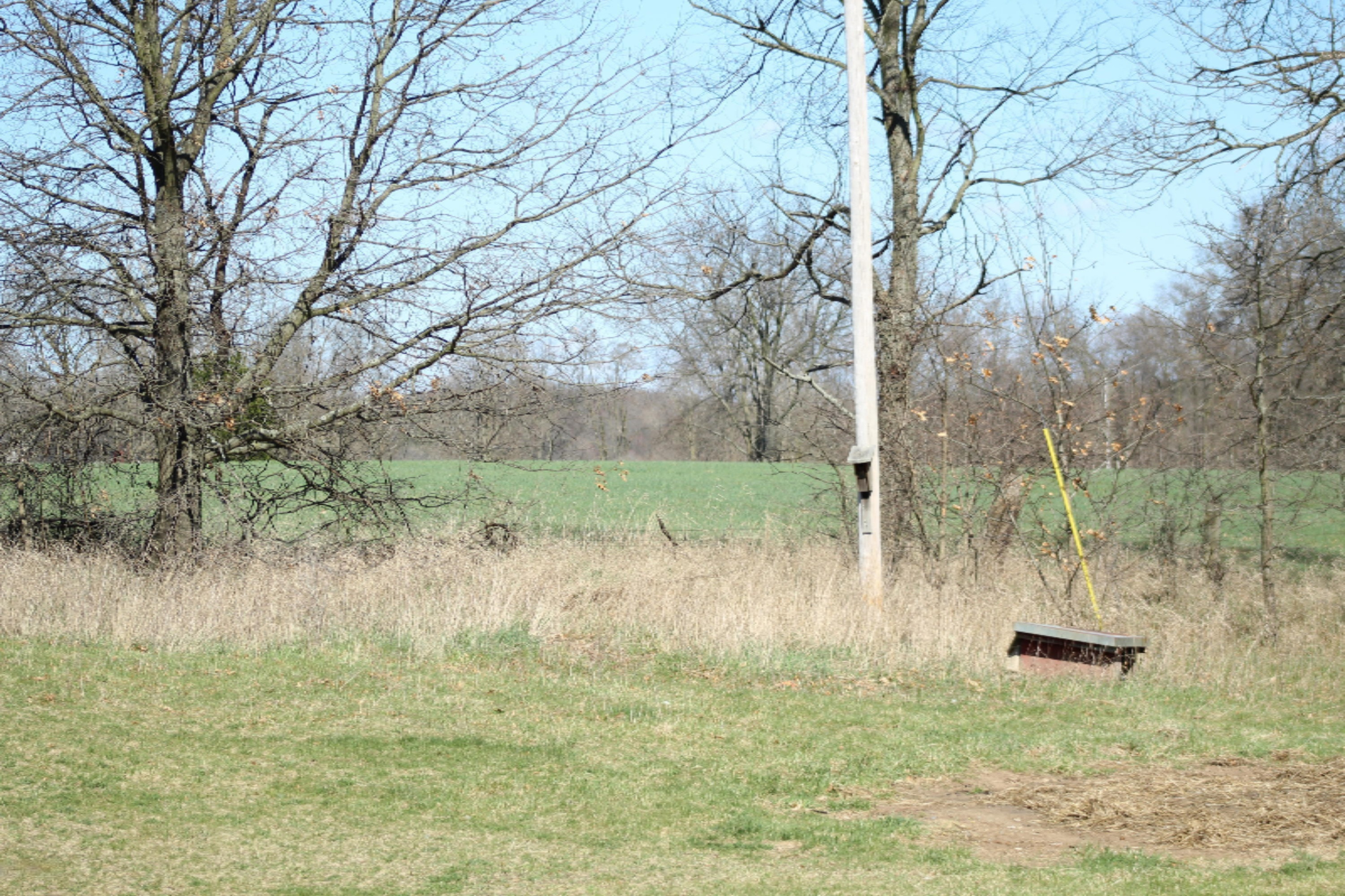 9984 Jones Road Bellevue, MI 49021 - Photo 45 of 47 IMG_3169