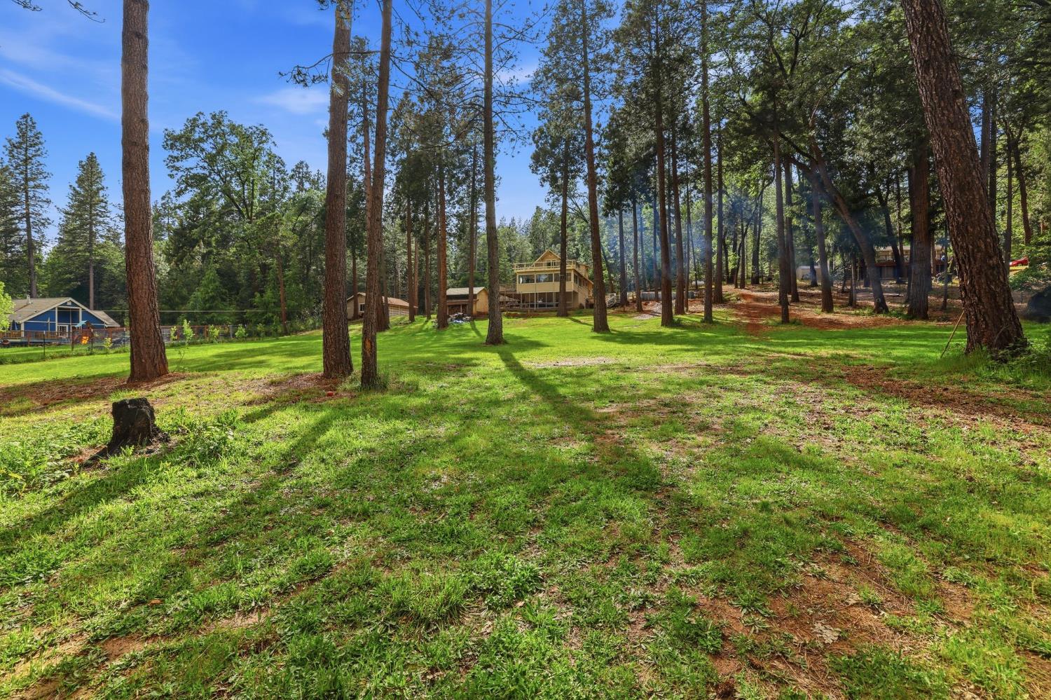 4061 Cedar Drive Georgetown, CA 95634 - Photo 2 of 63