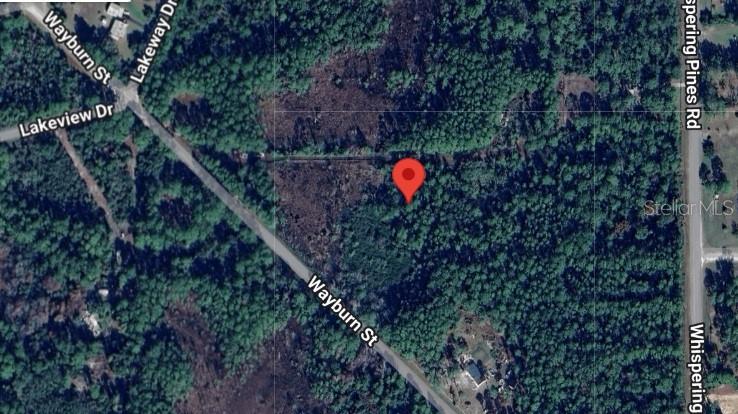 116 Wayburn Street Georgetown, FL 32139 - Photo 2 of 4 a sign that is on a tree