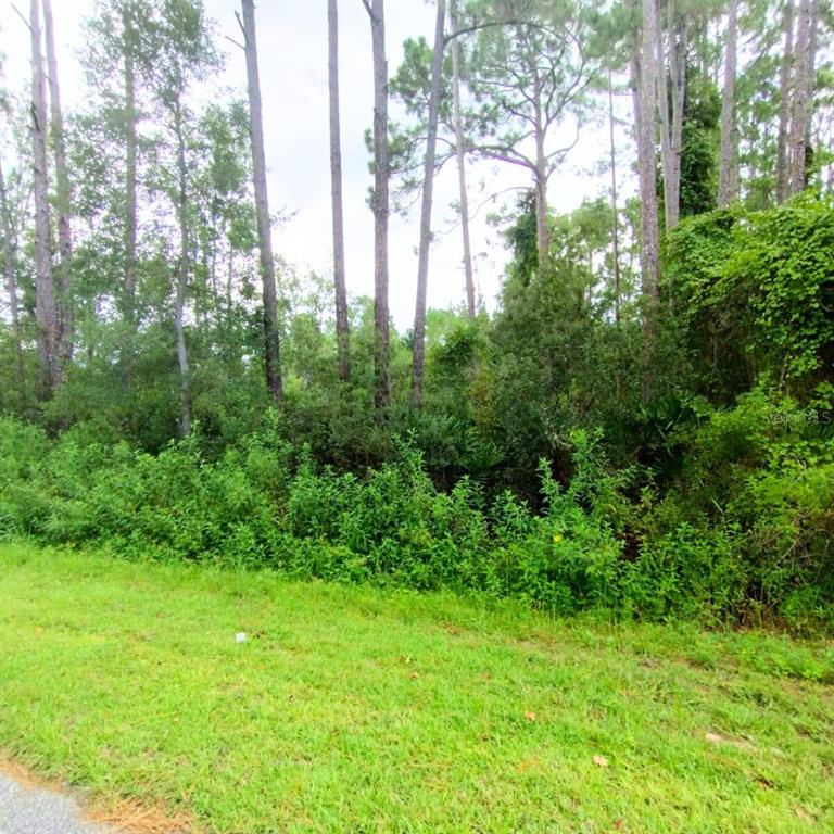 116 Wayburn Street Georgetown, FL 32139 - Photo 3 of 4 a view of a garden
