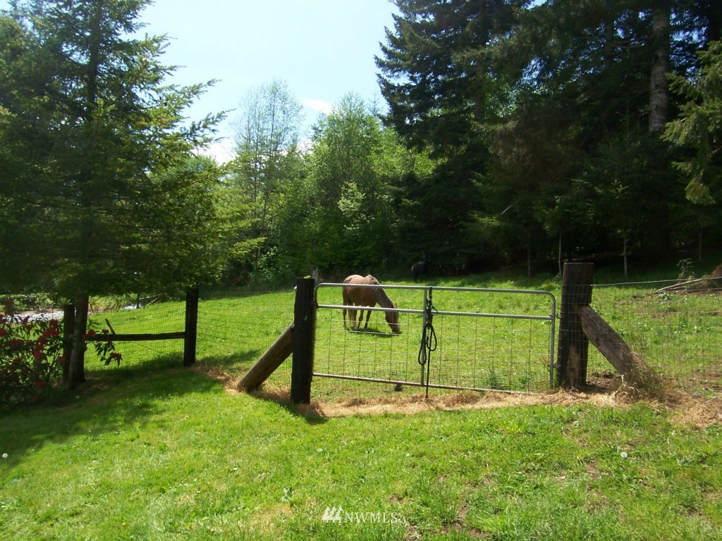 727 Mox Chehalis Road McCleary, WA 98557 - Photo 14 of 15 Gallery Image 14