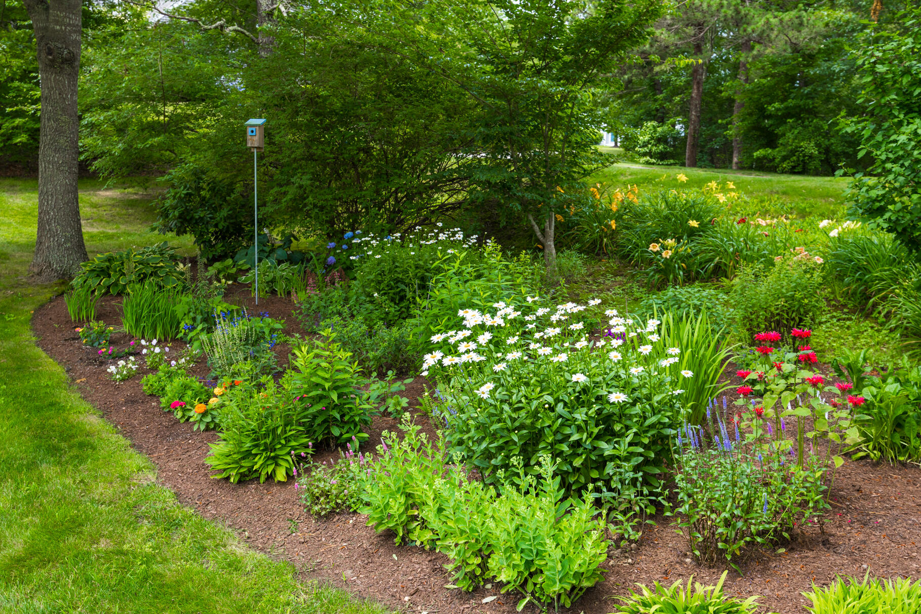 9 Stratford Ridge Mashpee, MA 02649 - Photo 3 of 34 a view of a garden with plants