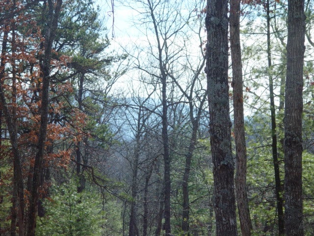 190 Tyler Ridge Road White Sulphur Springs, WV 24986 - Photo 3 of 8 Gallery Image 3