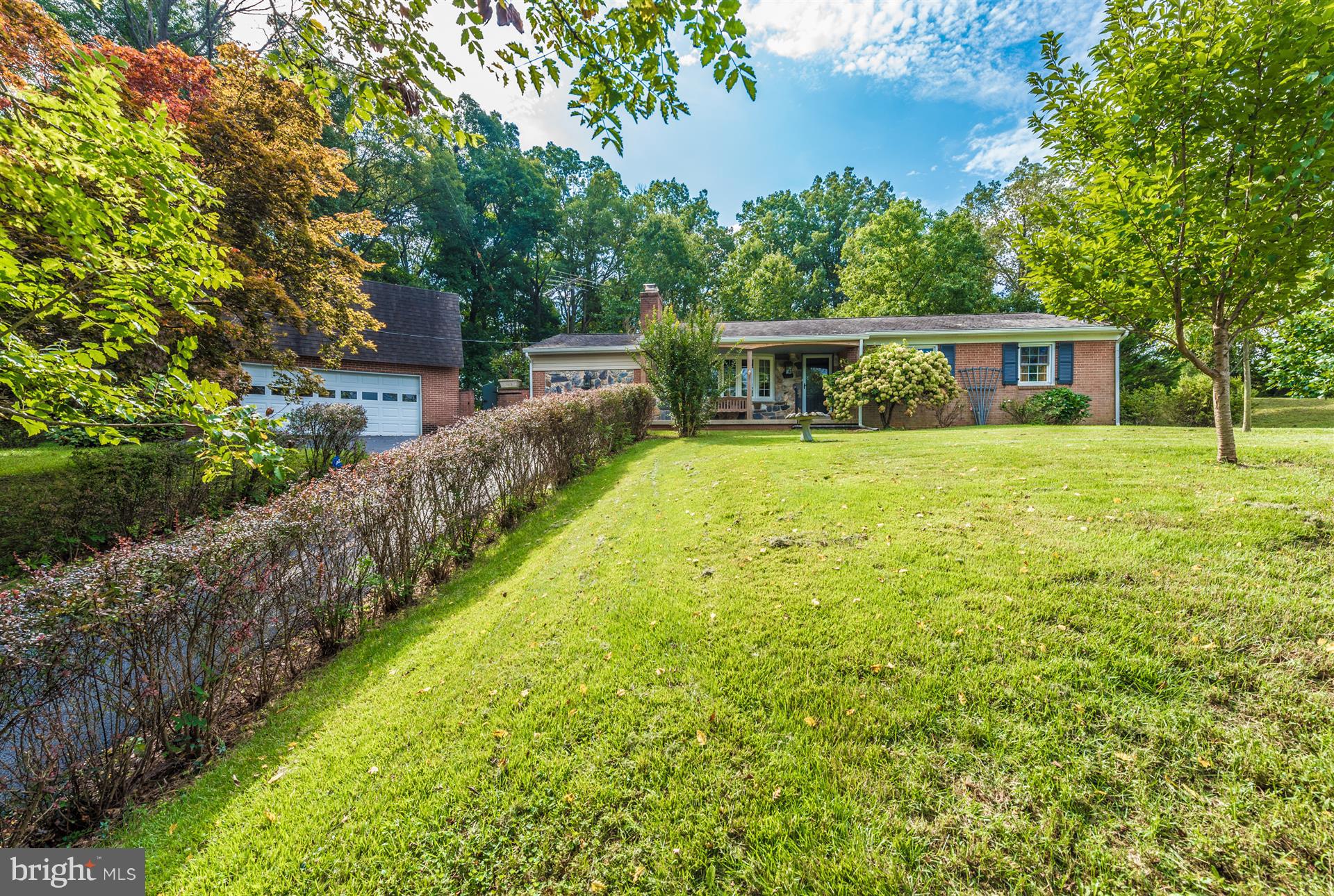 12539 Molasses Road Union Bridge, MD 21791 - Photo 3 of 30 a view of a backyard with large trees and plants