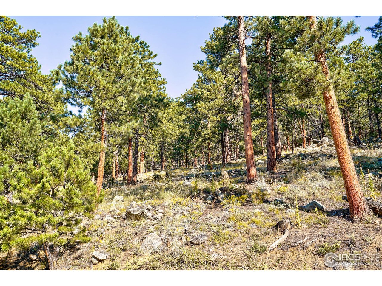 695 Cutter Lane Boulder, CO 80302 - Photo 19 of 39 a view of outdoor space and a yard
