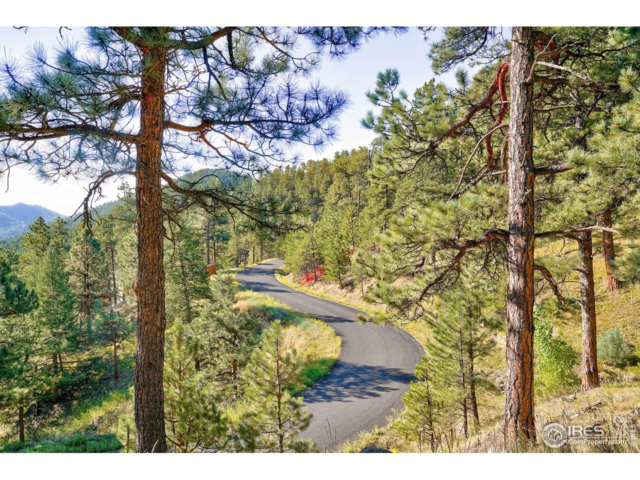 695 Cutter Lane Boulder, CO 80302 - Photo 21 of 39 a view of a yard