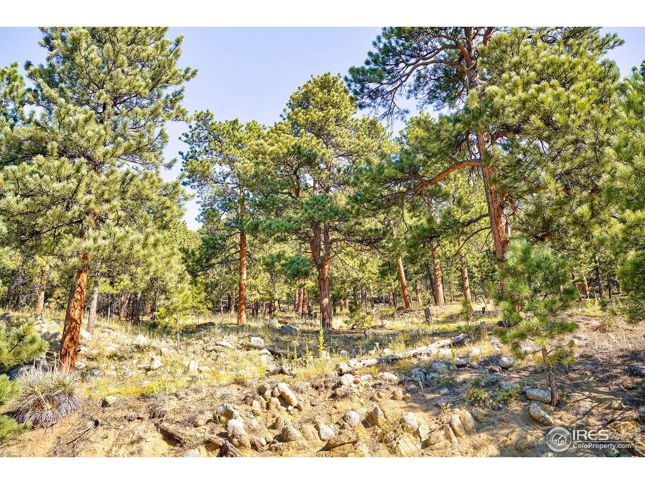 695 Cutter Lane Boulder, CO 80302 - Photo 27 of 39