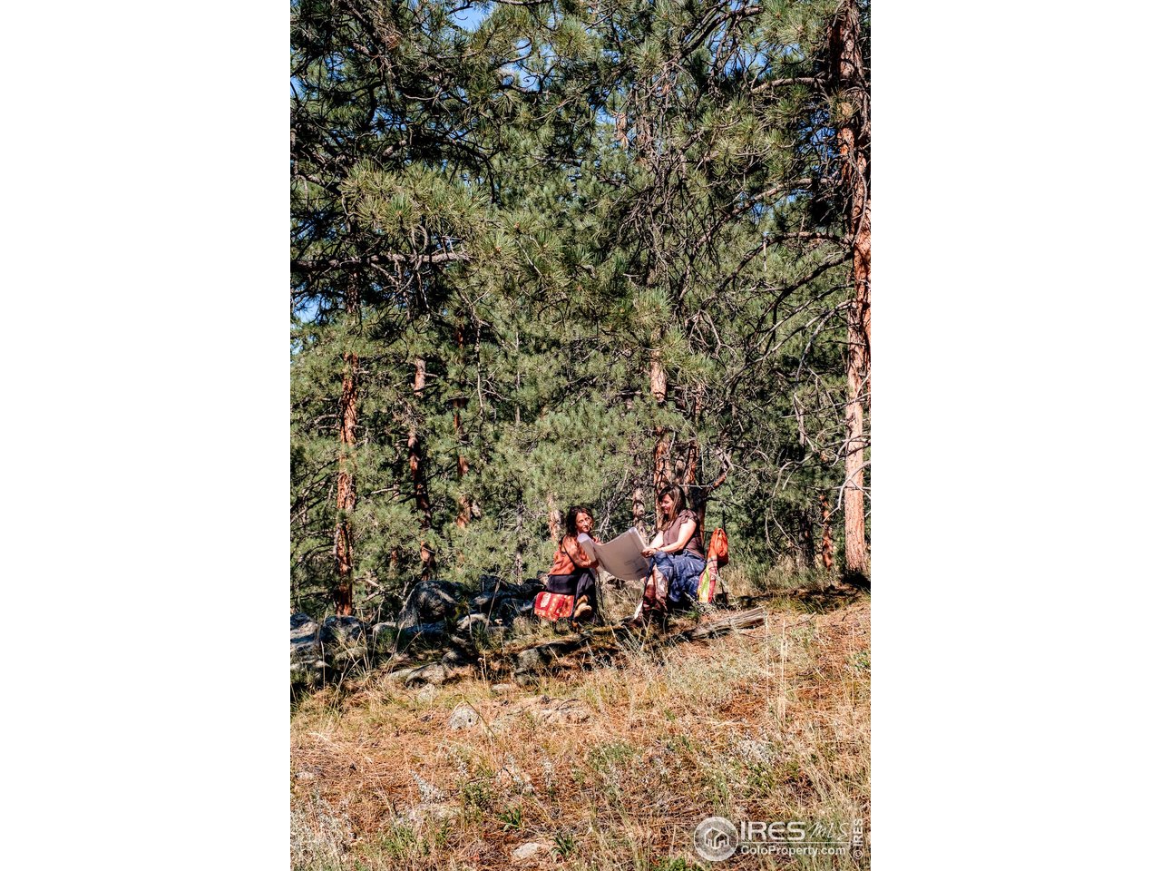 695 Cutter Lane Boulder, CO 80302 - Photo 34 of 39 a view of a room with a large window