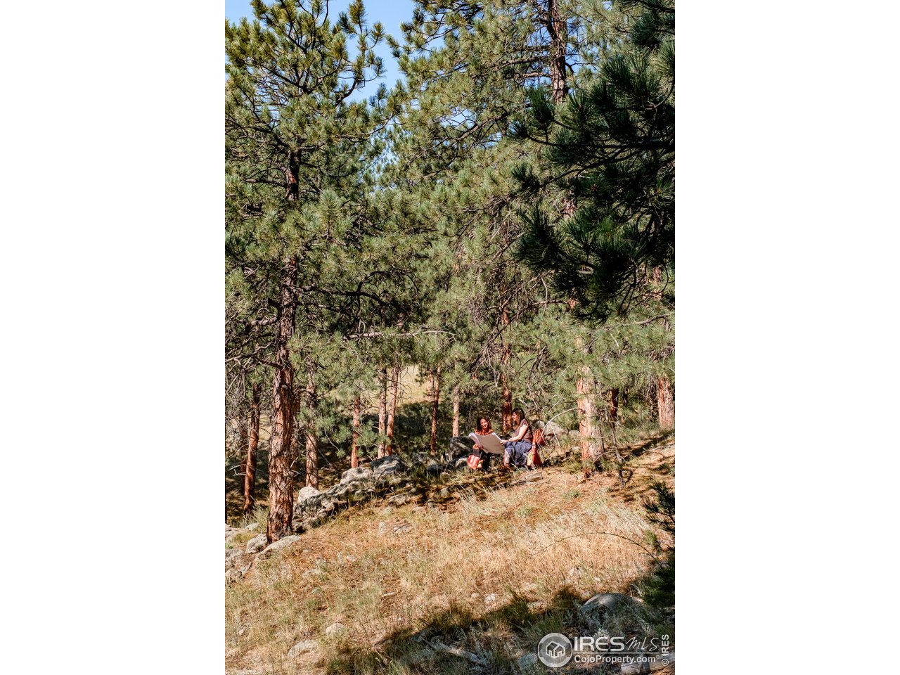 695 Cutter Lane Boulder, CO 80302 - Photo 38 of 39 a view of a room with trees