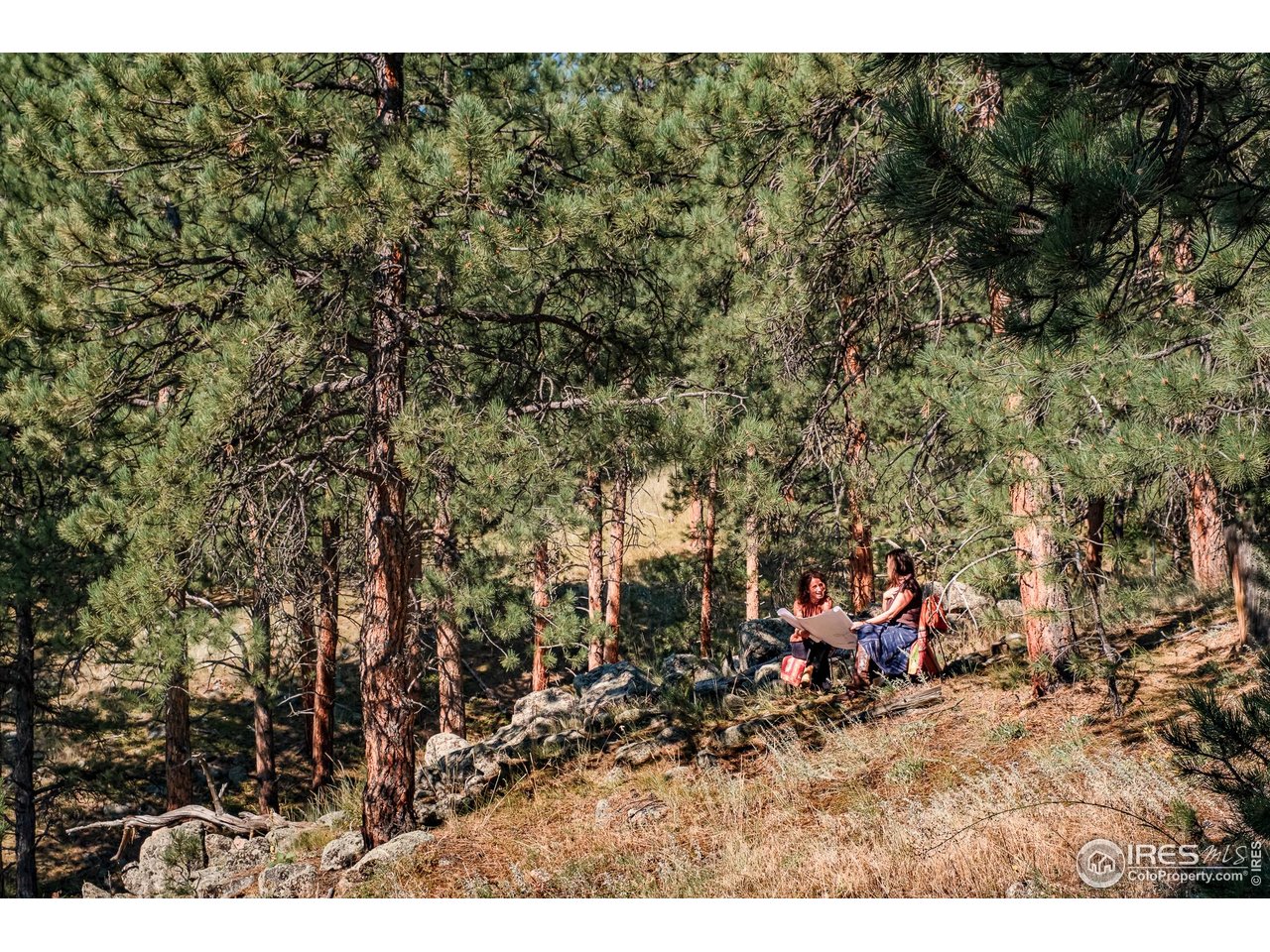 695 Cutter Lane Boulder, CO 80302 - Photo 39 of 39 a view of outdoor space