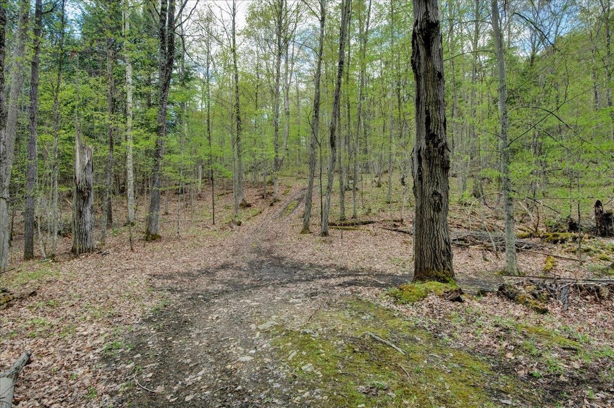 226 Willowbrook Road Sudbury, VT 05733 - Photo 48 of 59