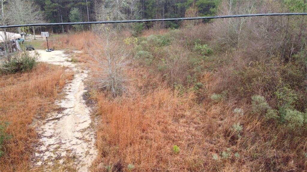 34343 Ambrose Hoover Road Tickfaw, LA 70466 - Photo 3 of 6 Gallery Image 3