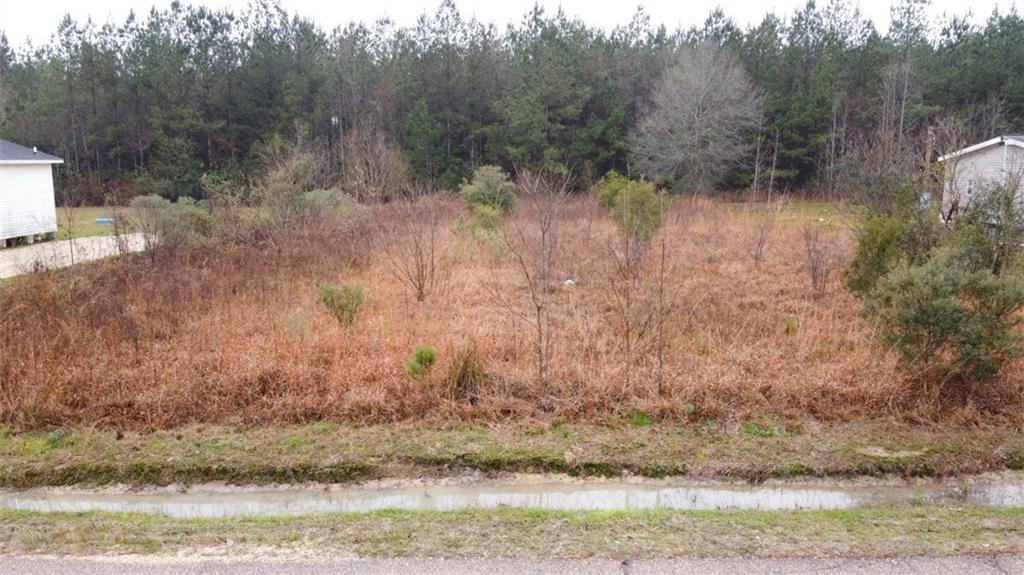 34343 Ambrose Hoover Road Tickfaw, LA 70466 - Photo 5 of 6 Gallery Image 5