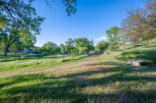 a view of a grassy field with trees