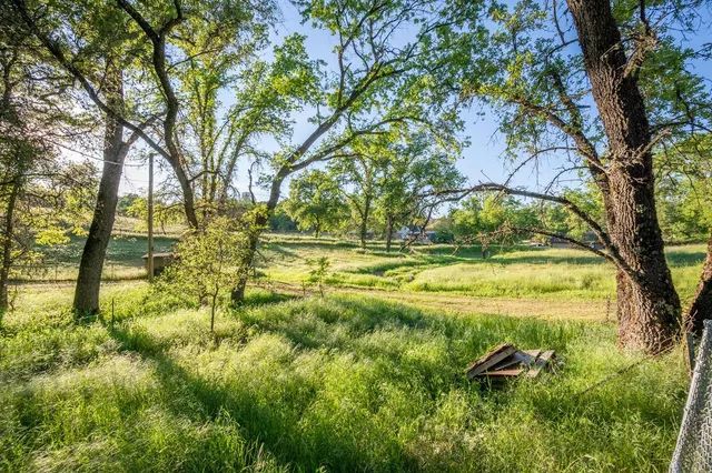 a view of a lush green space