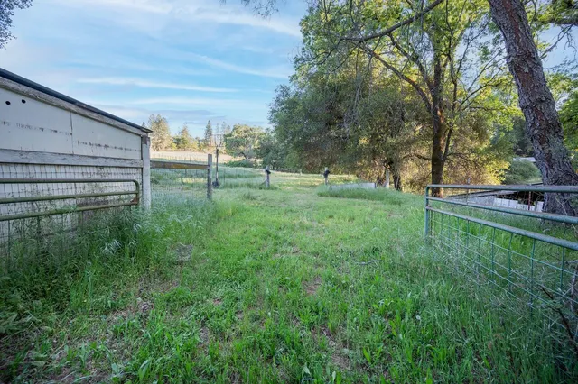 a backyard of a house with lots of green space