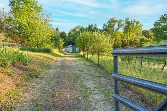 a view of a yard with a tree