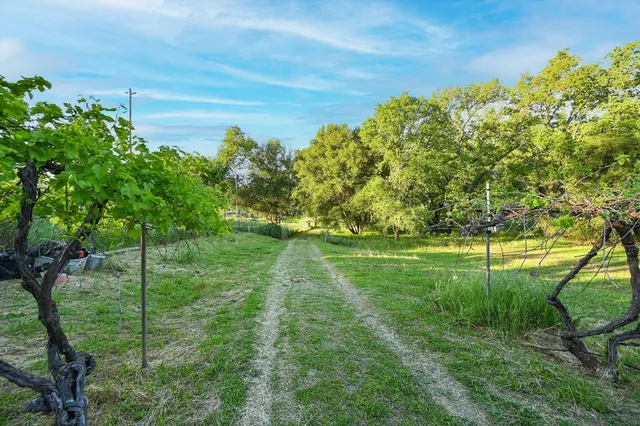 a backyard of a house with lots of green space and chair