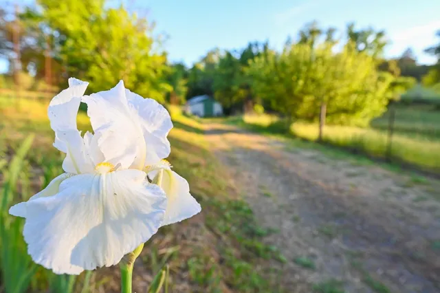 $359,000 | 13930 Fiddletown Road, Fiddletown, CA 95629