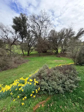 $349,000 | 13930 Fiddletown Road, Fiddletown, CA 95629