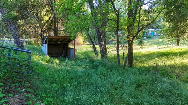 a view of a house with a yard patio and a tree