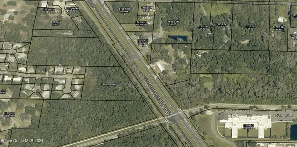 a picture of a tree next to a lake