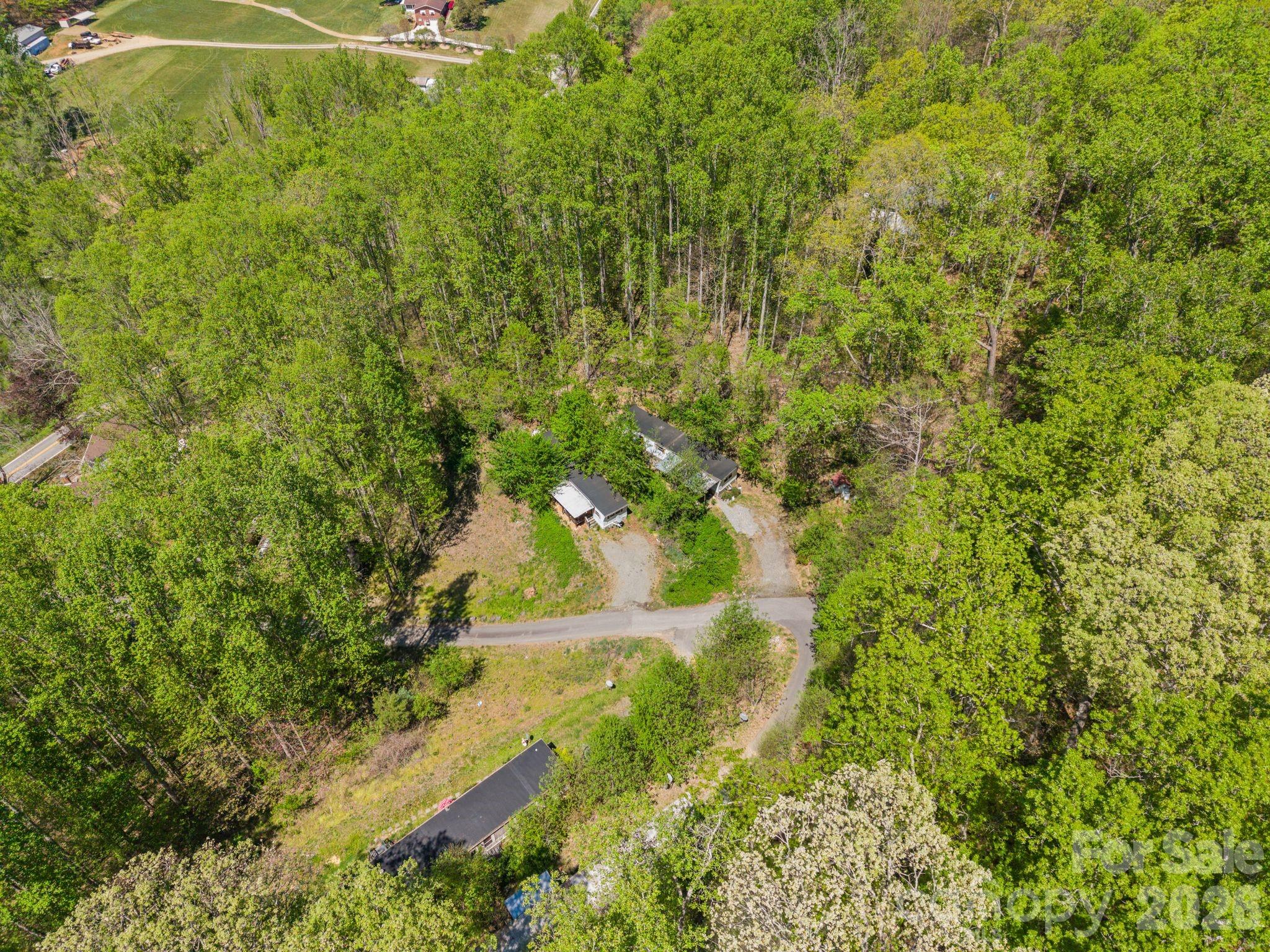 290 Hookers Gap Road Candler, NC 28715 - Photo 30 of 43