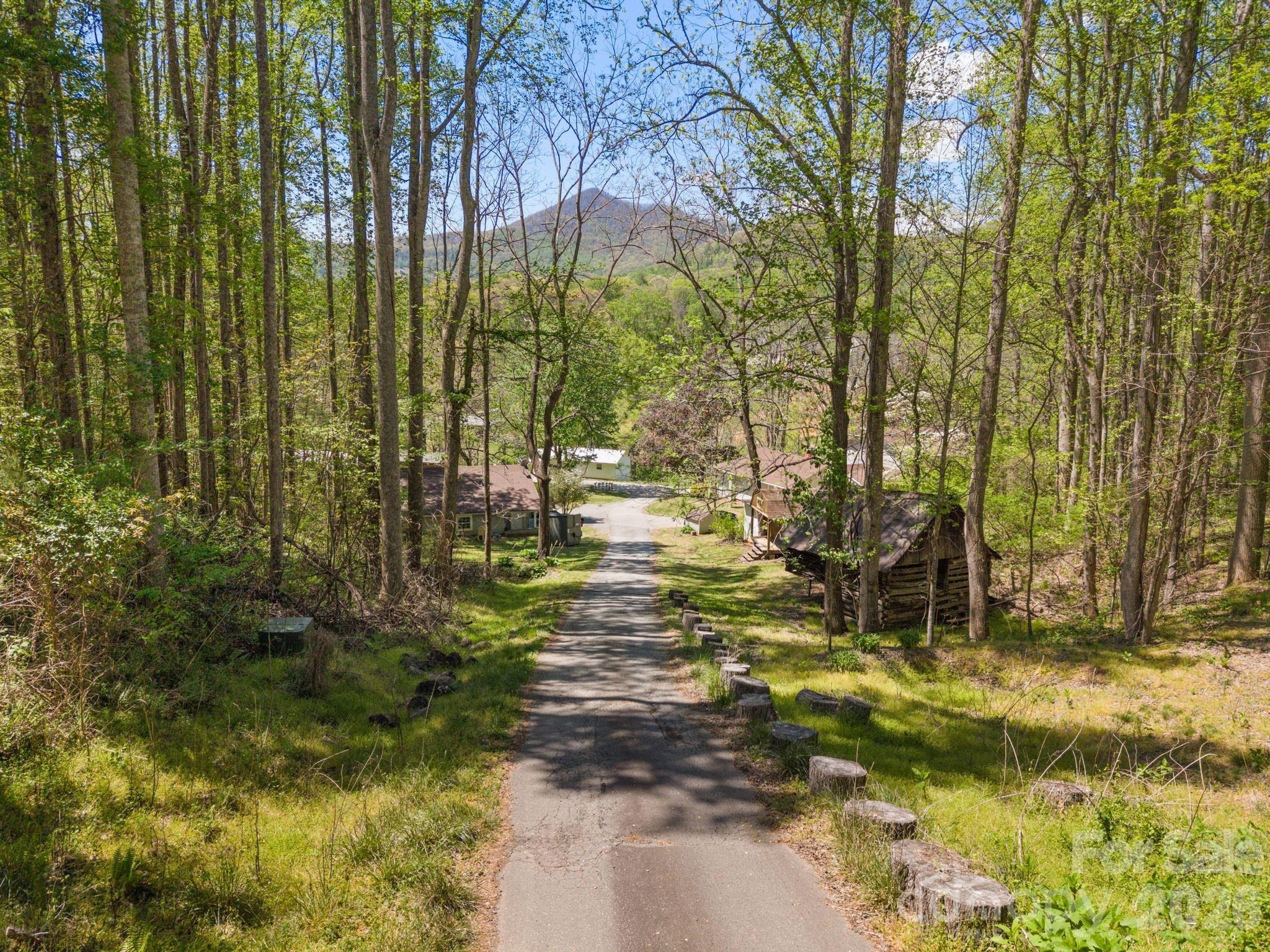 290 Hookers Gap Road Candler, NC 28715 - Photo 38 of 43