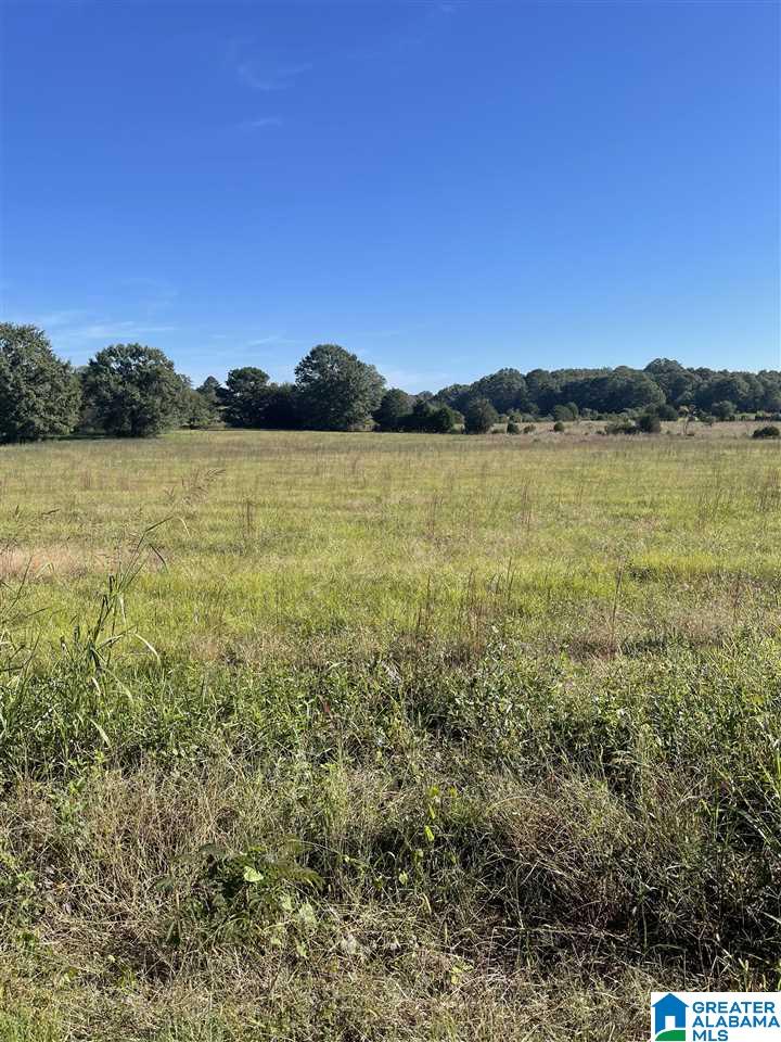 615-635 Watson Road, Unit 2 & 3 Cropwell, AL 35054 - Photo 4 of 13
