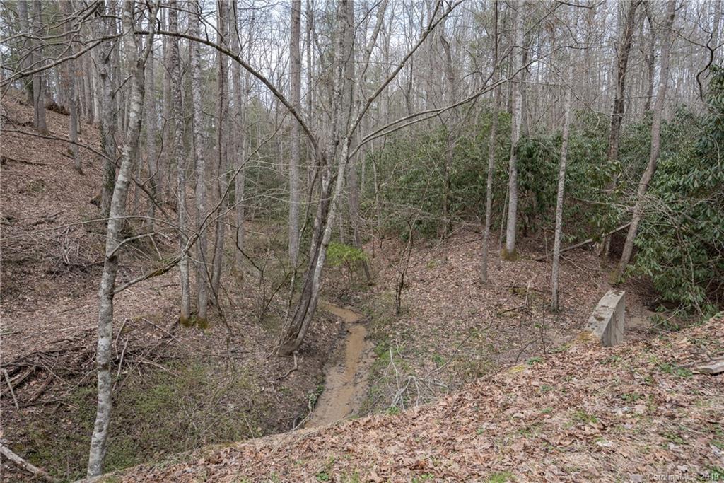 333 Bothwell Road Hendersonville, NC 28792 - Photo 33 of 34 Gallery Image 33