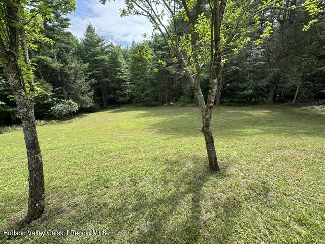 44 Alpineview Road Prattsville, NY 12468 - Photo 2 of 24 A36