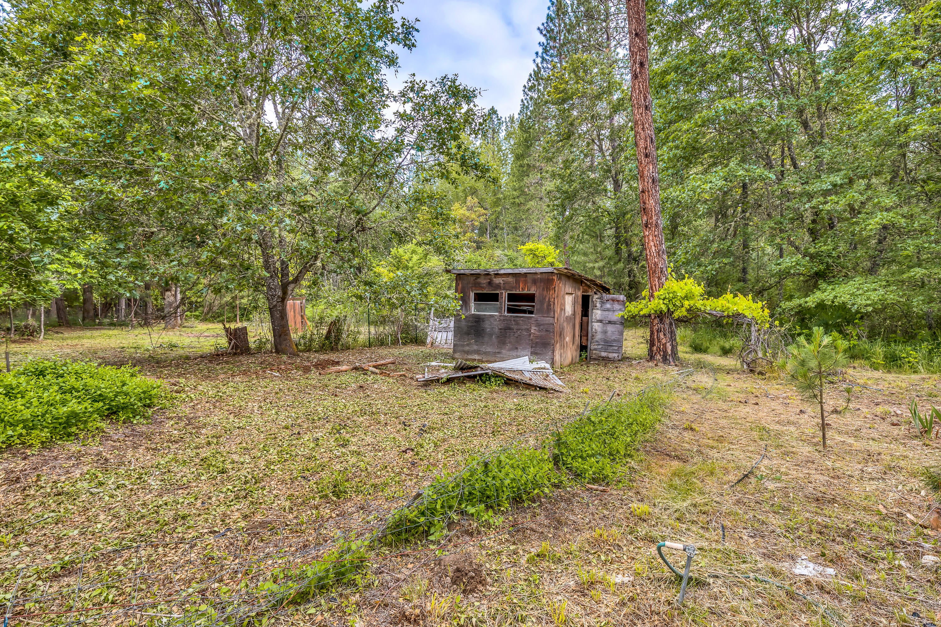 640 Minthorne Road Rogue River, OR 97537 - Photo 12 of 28 9R9A7194