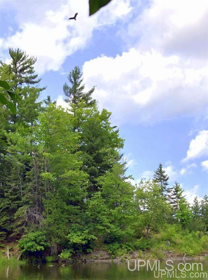 Tbd Deer Lake Road Ishpeming, MI 49849 - Photo 11 of 47