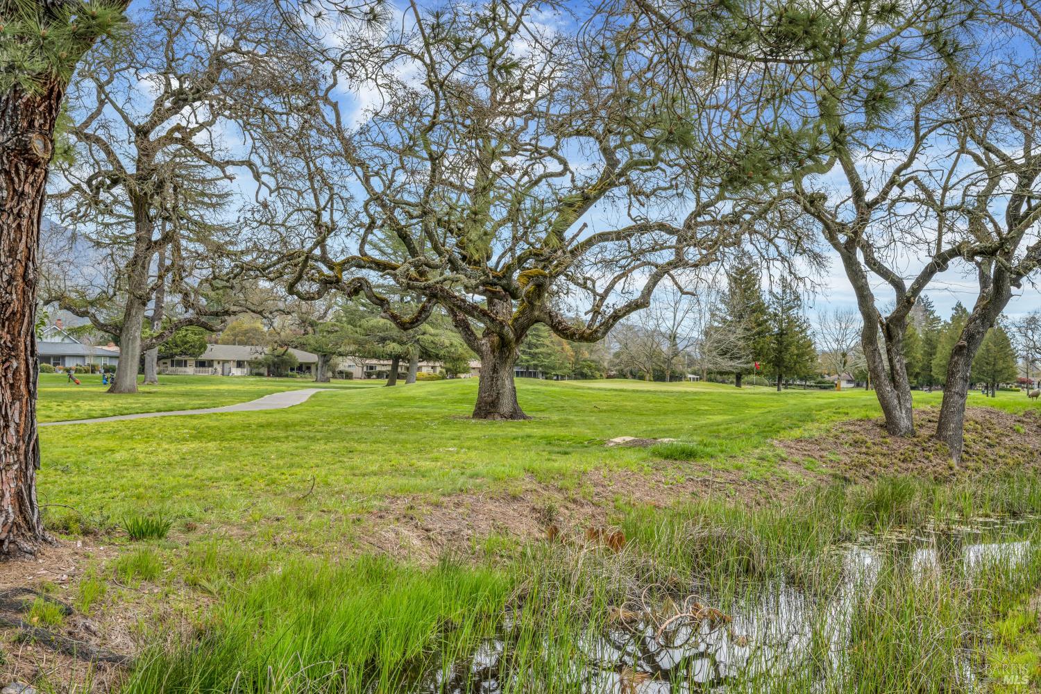 23 Valley Green Street Santa Rosa, CA 95409 - Photo 42 of 58 a view of field with trees