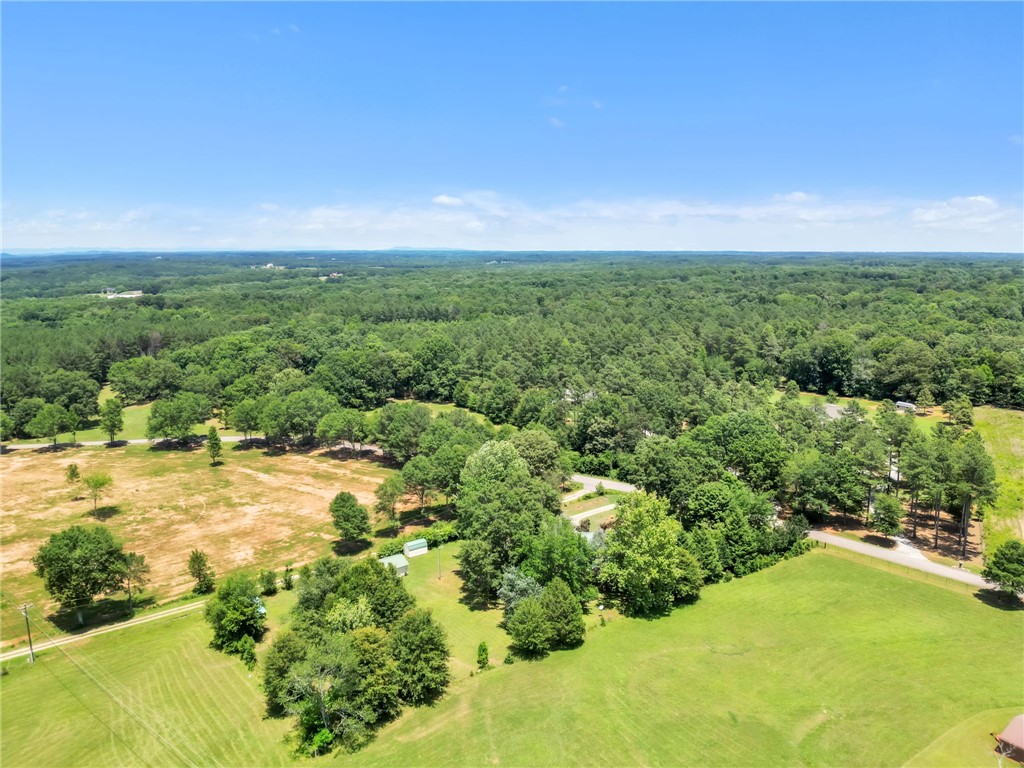 602 Harper Road Pendleton, SC 29670 - Photo 27 of 32 Vast, verdant landscape offering abundant privacy and natural beauty under an endless sky.
