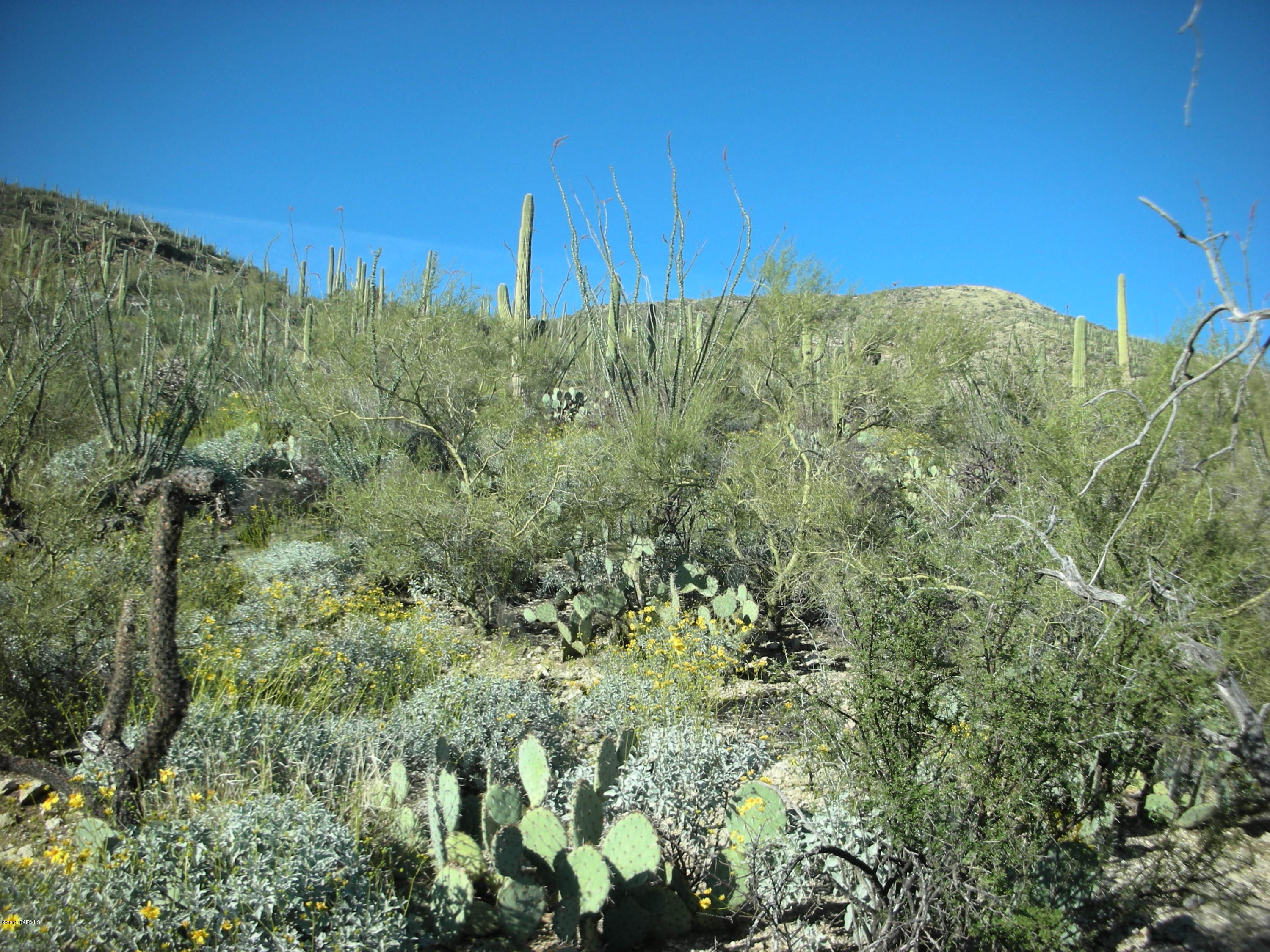 West Rhyolite Loop Tucson, AZ 85745 - Photo 12 of 12