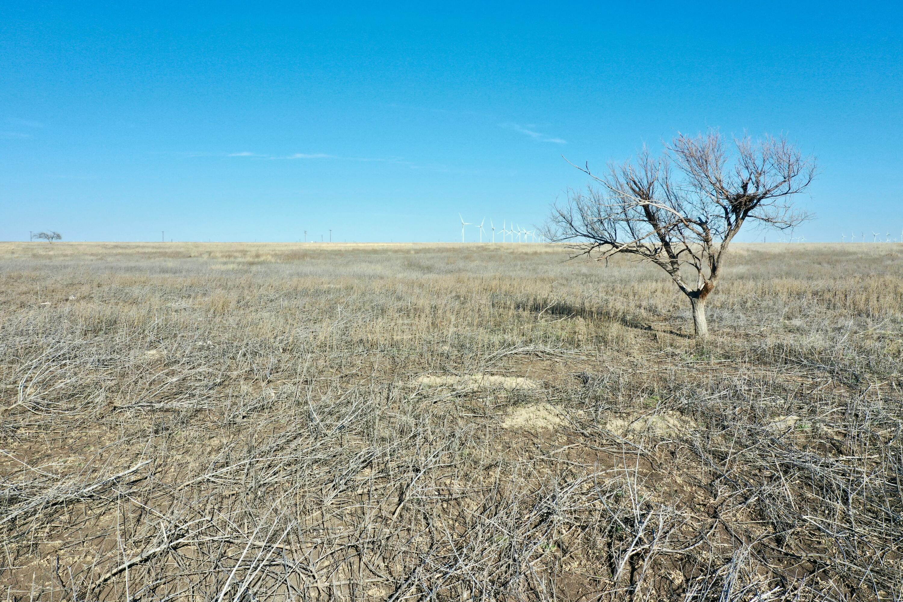 72 Co Road Lockney, TX 79241 - Photo 16 of 20 a view of a room with a dry yard