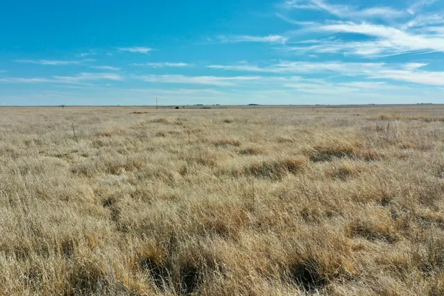 a view of beach and mountain