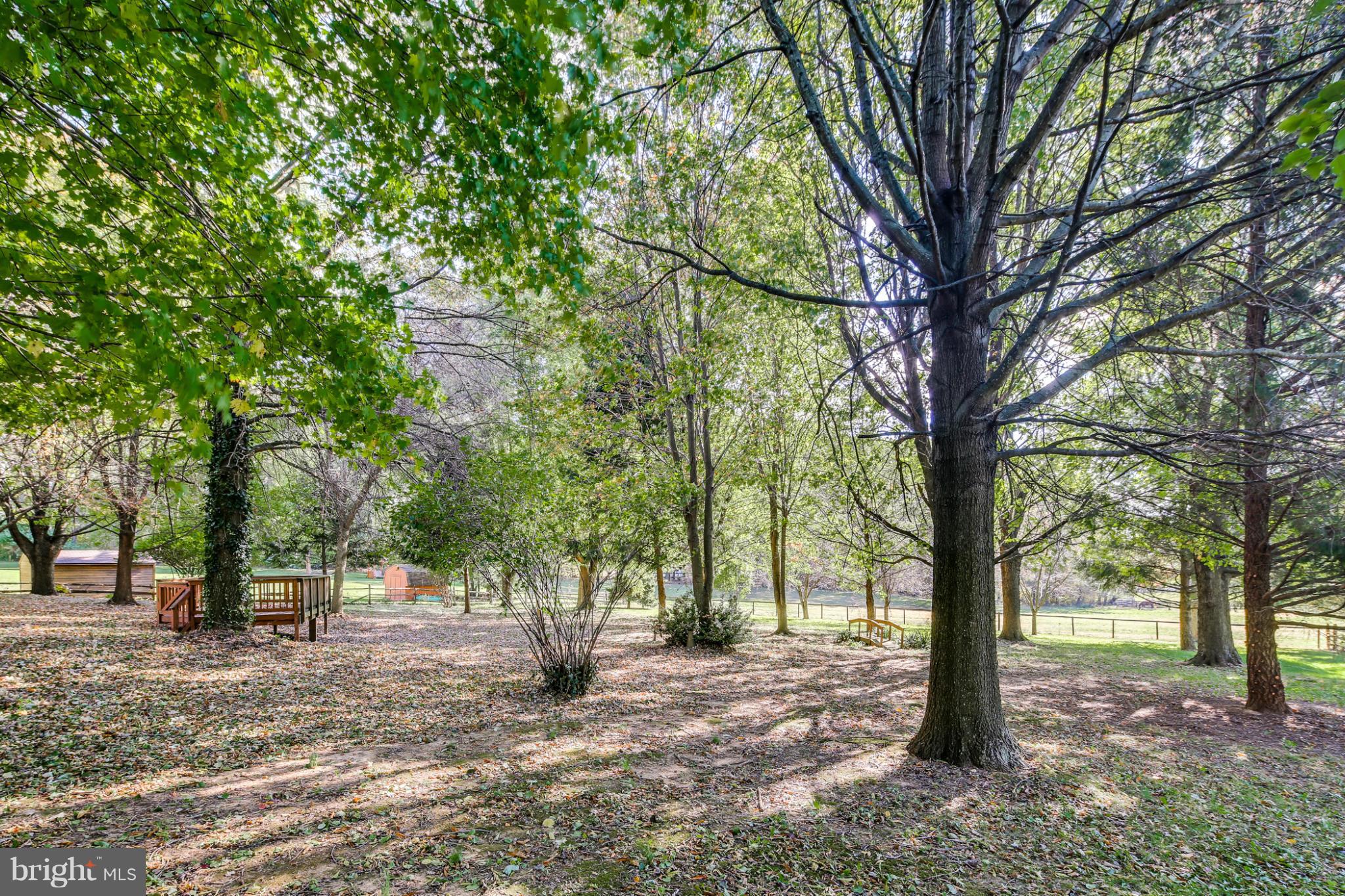 695 Streaker Road Sykesville, MD 21784 - Photo 23 of 24 Flat fenced back yard - horses behind property!