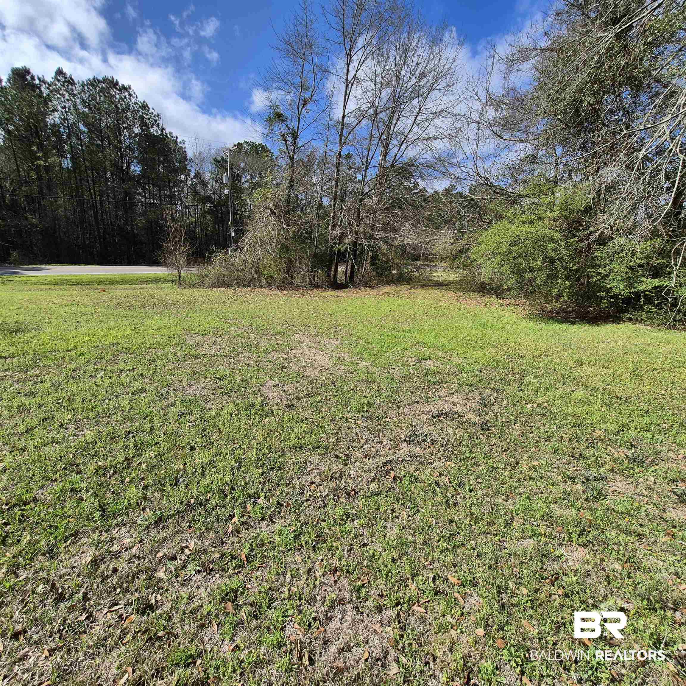 721 Perryman Street Evergreen, AL 36401 - Photo 24 of 26 View of grassy yard